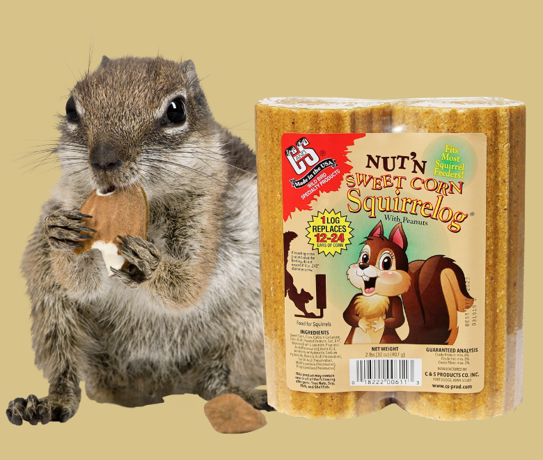 Squirrel Food