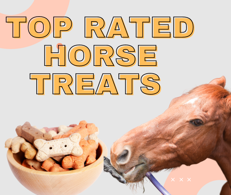 Top Rated Horse Treats | Finding Best Horse Treats in US? horse treats
