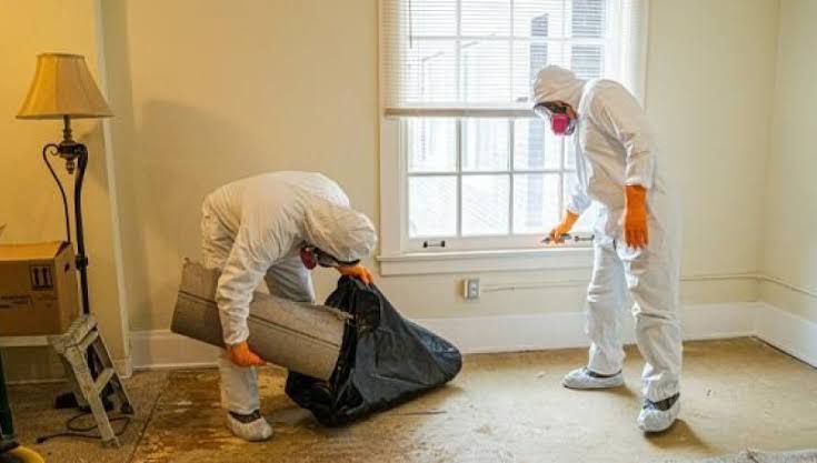 How To Choose A Hoarders Cleaning Company You Can Trust?